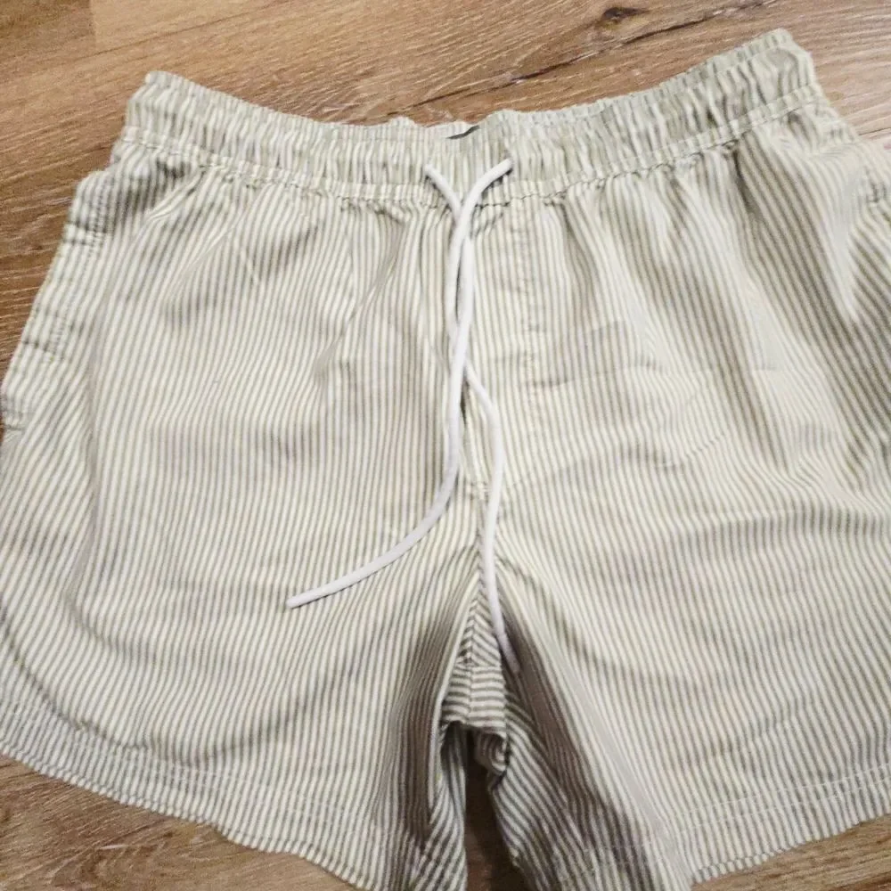 Men's Green Striped Swim Shorts